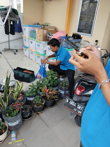 Photo from customer review